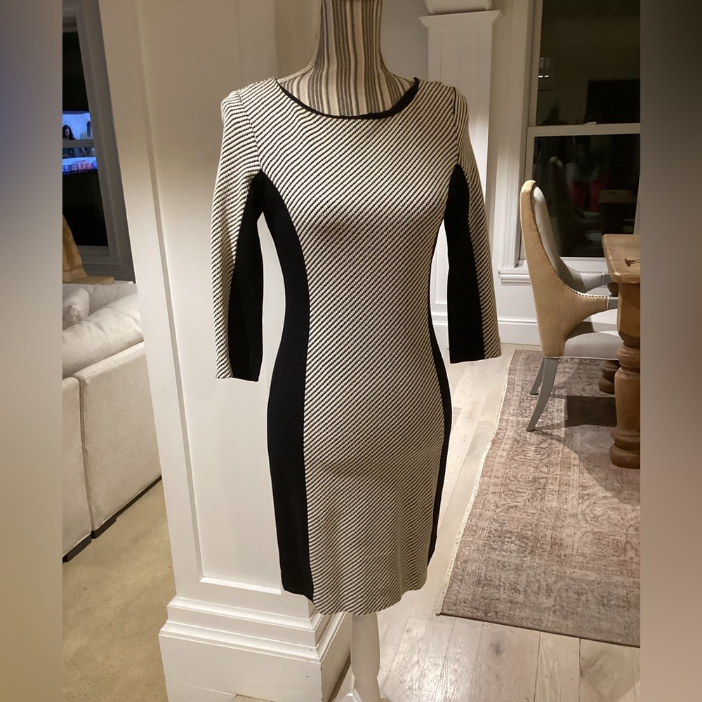 Banana Republic long sleeve black and white dress